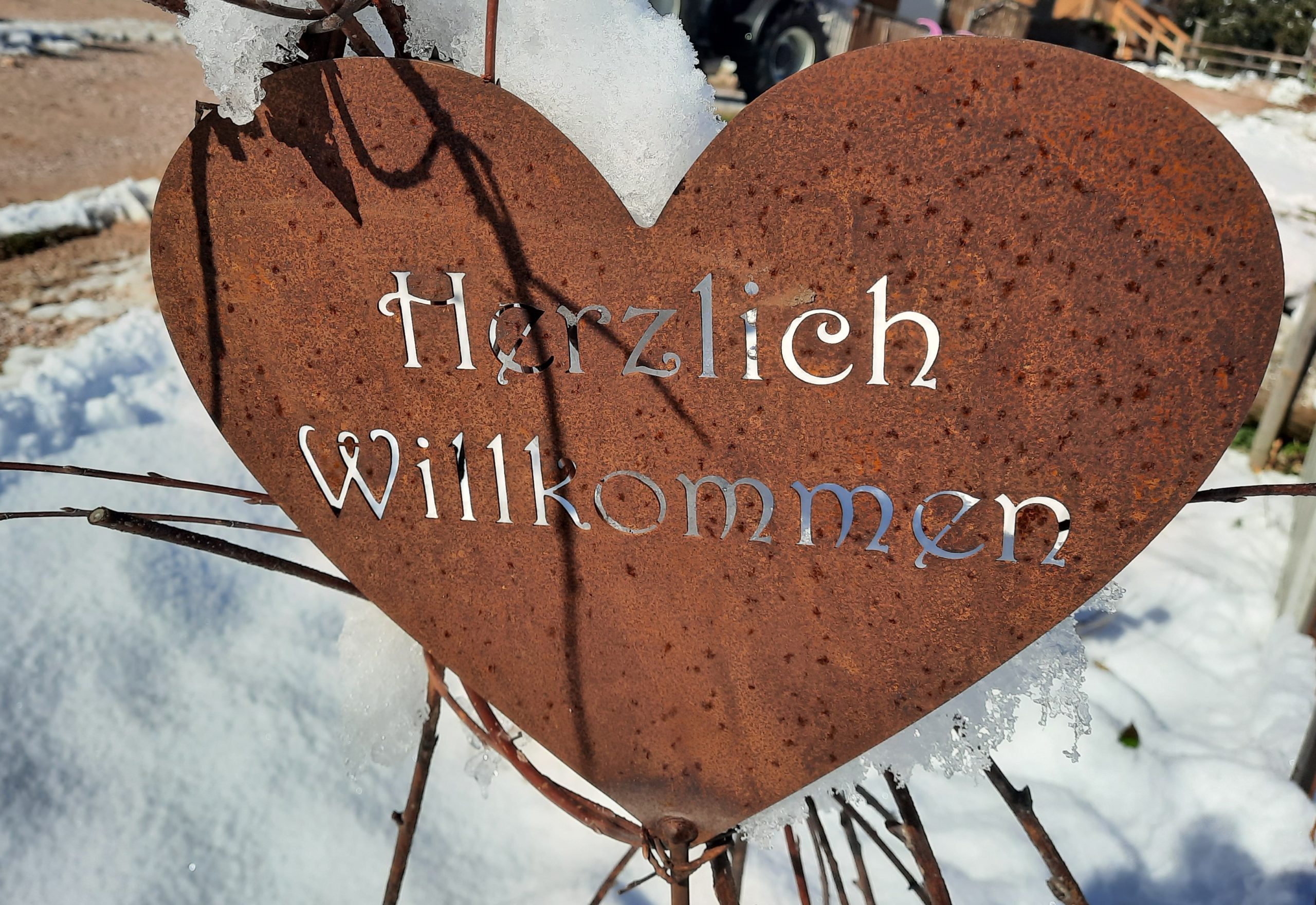 Herzfoto_Nr_2_20211105_112356